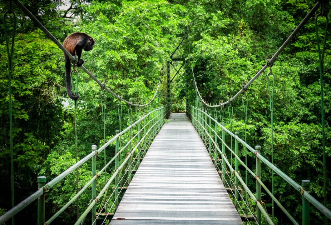 Costa Rica: Naturparadies zwischen Karibik und Pazifik
